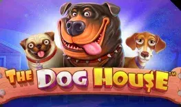 The Dog House pokie at Golisimo Casino The Dog House pokie at Golisimo Casino